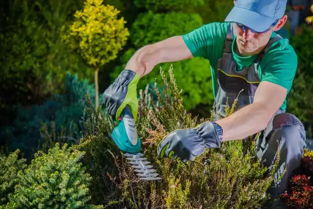 landscaping services Oriskany